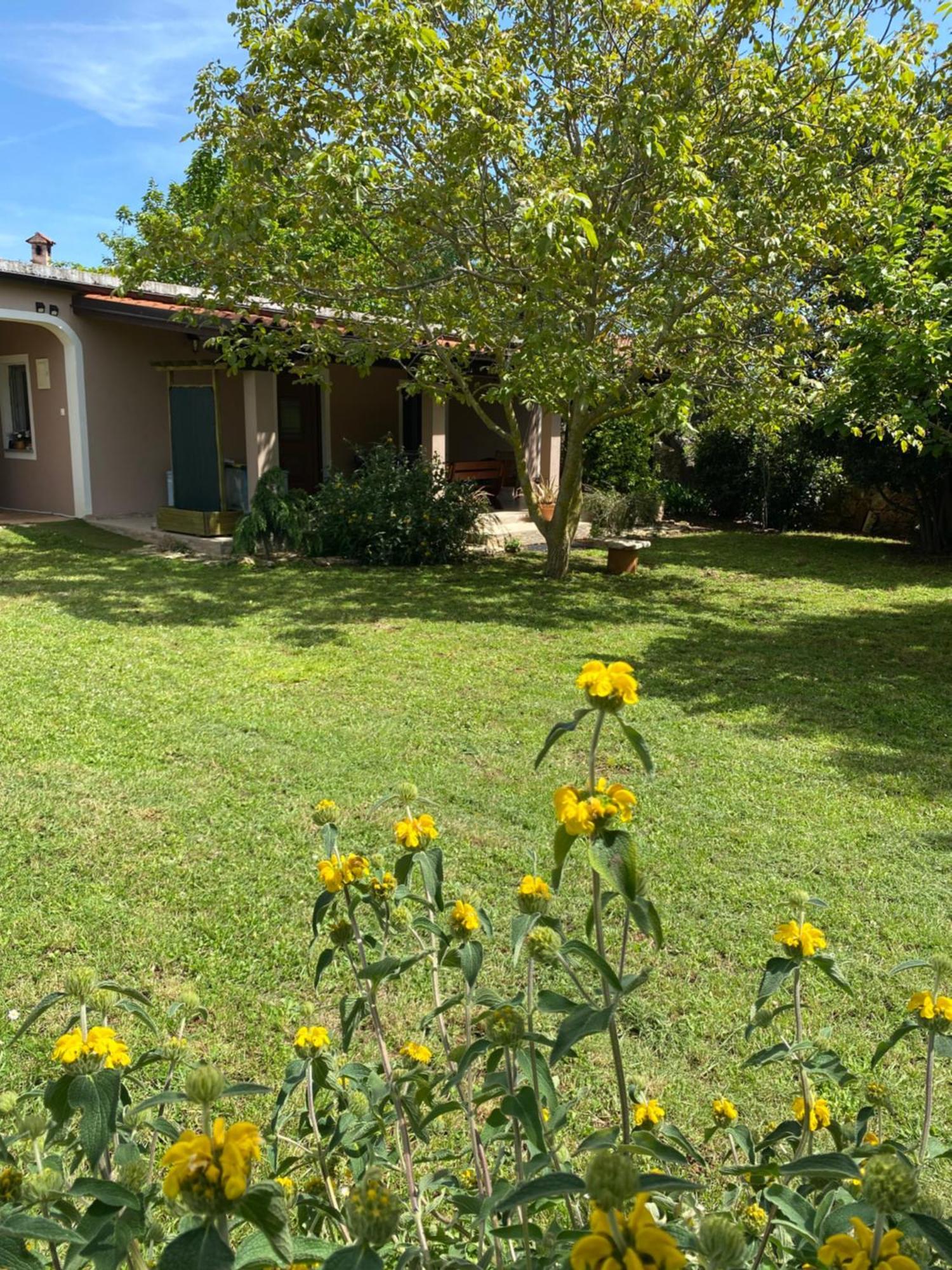 Apartman "Almond House 2" Pula Extérieur photo